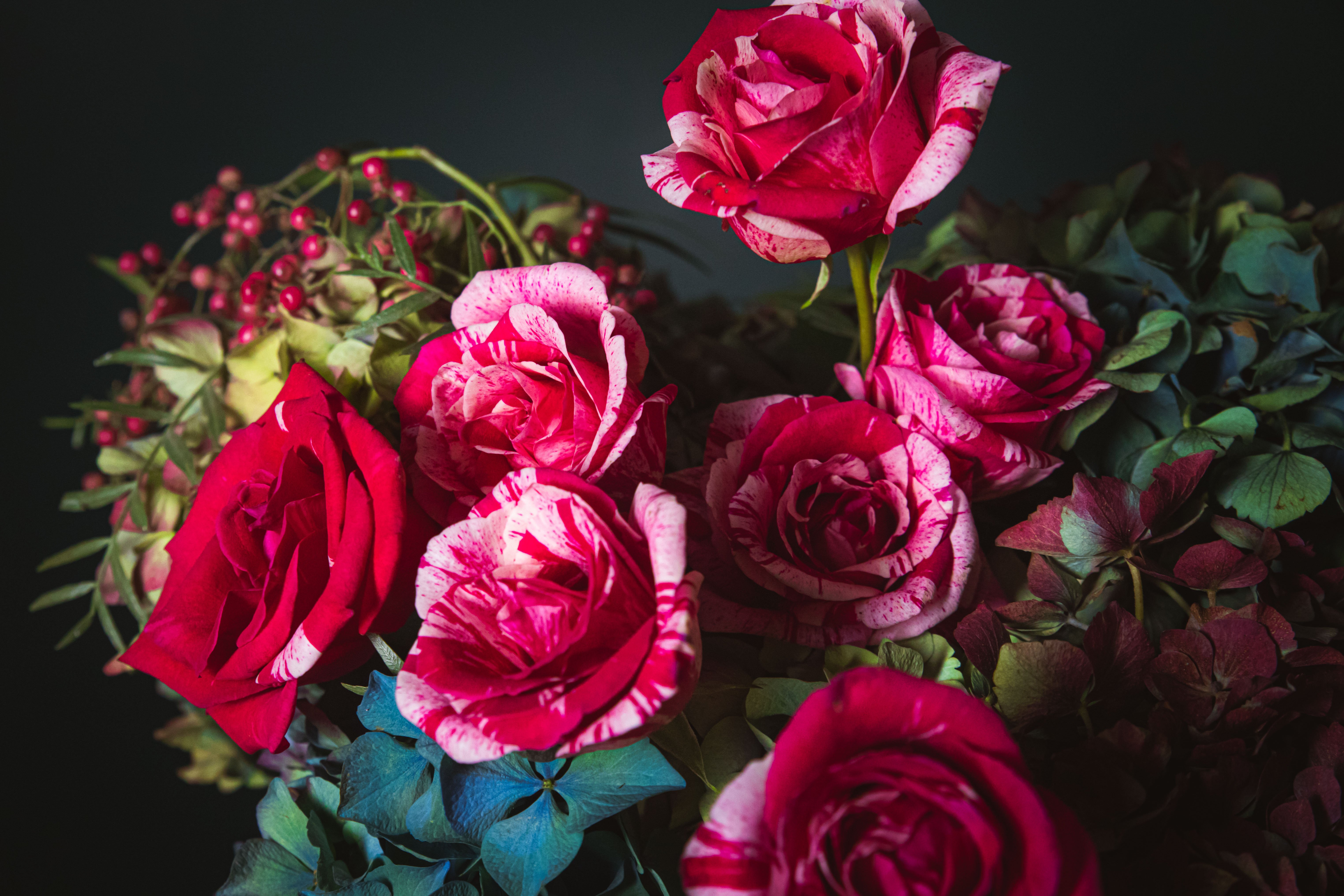 bold botanicals 2