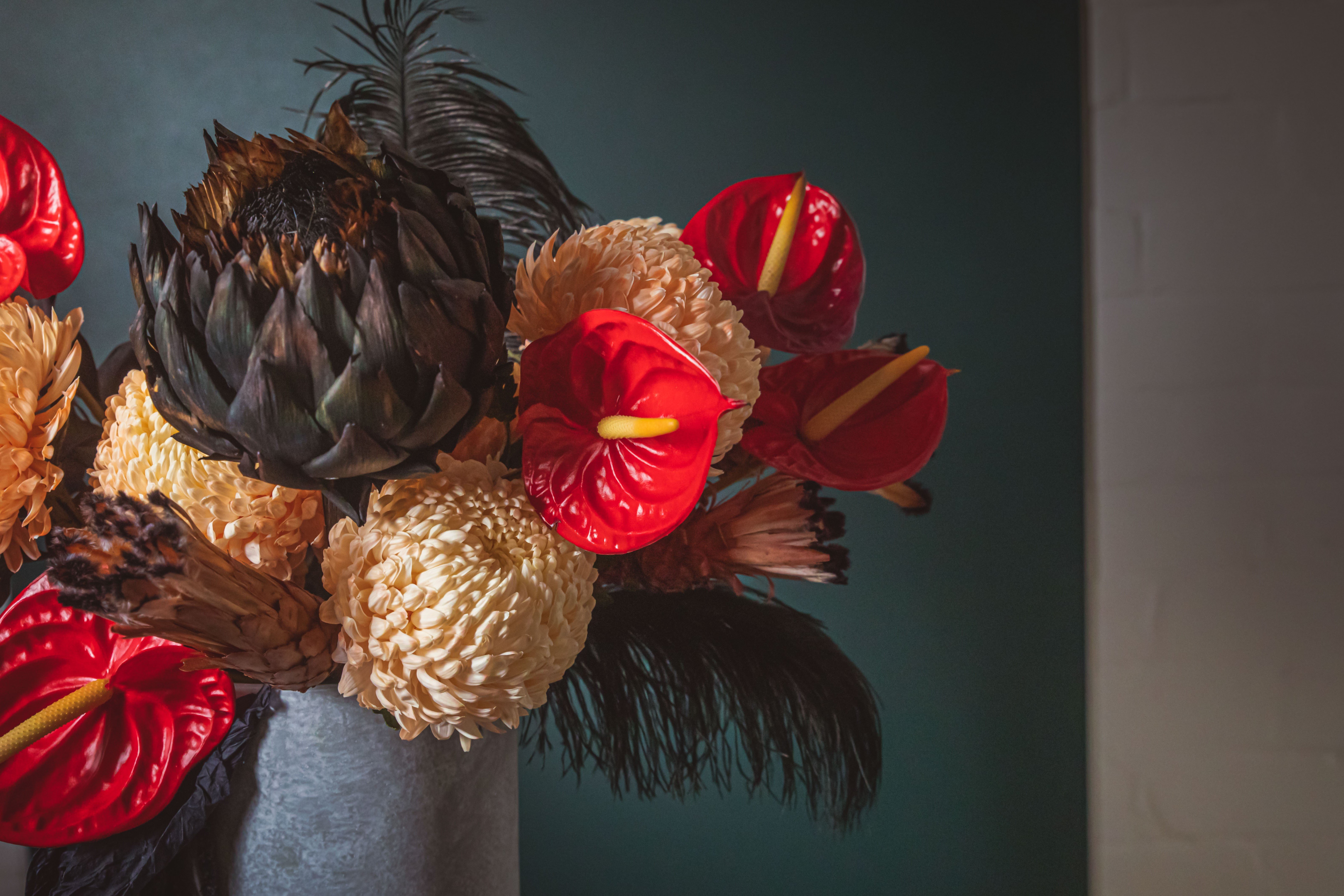 bold botanicals 4