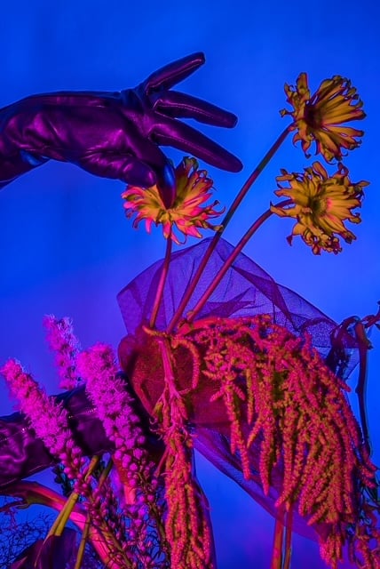 bold botanicals 1